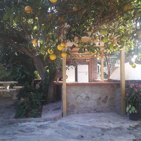 Finca Los Aguacates Trapiche  Zewnętrze zdjęcie