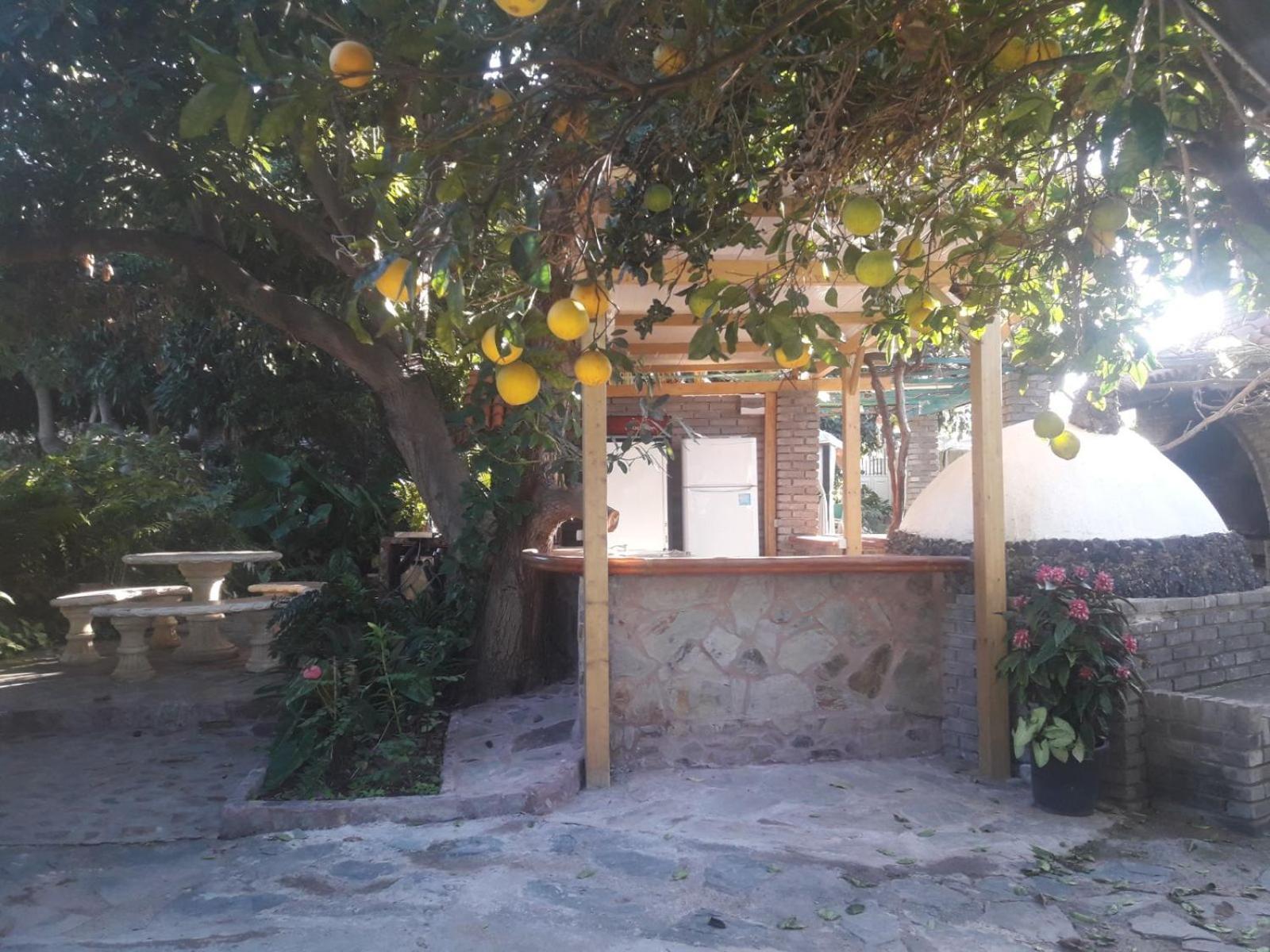 Finca Los Aguacates Trapiche  Zewnętrze zdjęcie